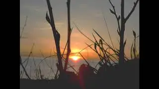 Tourach - Towards the Sun [2001]