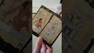 Ежедневное чтение Таро для зрителей 11-5-25 #tarot #tarotcards #tarotreader #tarotreading #dailyt...