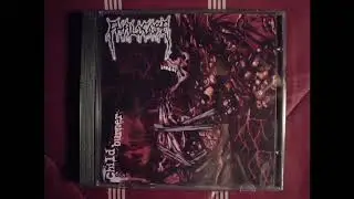 Phalogore - Oral Confessions