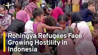 Rohingya Refugees Face Growing Hostility in Indonesia | TaiwanPlus News