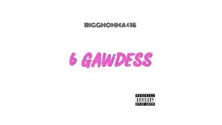 6 GAWDESS
