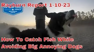 Rayburn Report 1 10 23