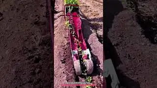 Manual Vegetable Transplanter Machine with 2&ndash;5 cm Depth Control and 20&ndash;40 cm Plant Spacing