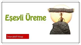 Eşeyli Üreme #sayfa134