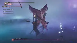NINJA GAIDEN 2 BLACK TAG MISSION MN03
