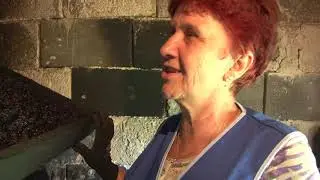 Sušene šljive iz pušnice Suade Čeliković iz Tršća