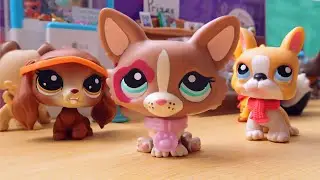 LPS: Imperfectly Perfect || Film