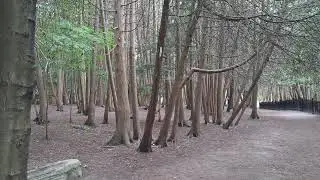 Relaxation music with beautiful Summer view of Canada