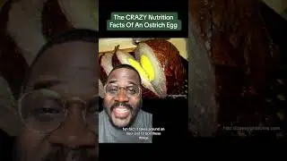 The SHOCKING Nutrition Facts of an Ostrich Egg