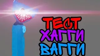 тест хагги вагги