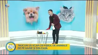 Teo Show (13.11.2022) - Trucuri sa scapi de parul de animale de pe haine si din casa!
