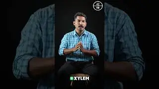 എന്താണ് Direct Expense & Indirect Expense❓- Let's Learn Commerce | Xylem Plus One Commerce