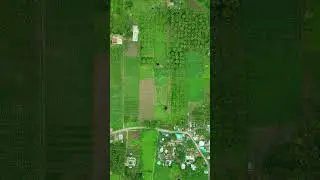 Aerial view of the Fields #rasipuram #greenery #drone #tamilnadu #trending #views #crops #field #dji