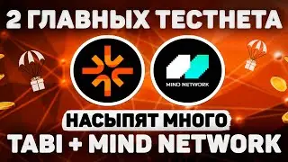 AIRDROP TABI + MIND NETWORK | 2 ТОПОВЫХ АИРДРОПА БЕЗ ЗАТРАТ | ПОЛНАЯ ИНСТРУКЦИЯ