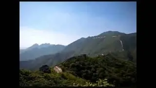 Relaxing Music   Relaxation MusicSounds in the Forest, Relax in Nature Background Звуки природы