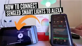 How To Connect Sengled To Alexa (Alexa Controlled Smart Light Bulbs)