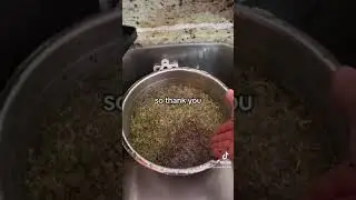 How to clean Sprouts before storing them or consuming them.