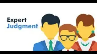 What is Expert Judgement