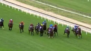 2010 Oakleigh Plate- Starspangledbanner
