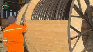 Factory Tour: Step Inside Our Power Cable Export Packaging Line at Zhongyi Cable