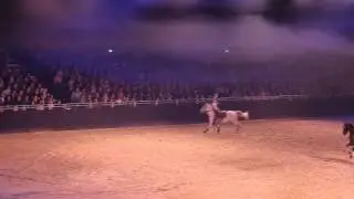 (Equitana) Trickreiten bei der Hop Top Show 2015