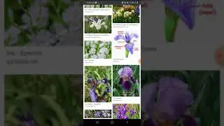 B.tech Project || Flower species Project || Machine learning project