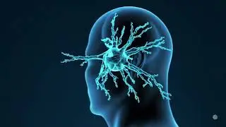 Amazing Science Explained in 1 Minute | Sound, Sky, Energy #LearnScience #Physics #EverydayScience