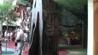 Animal Kingdom's Conservation Station HD