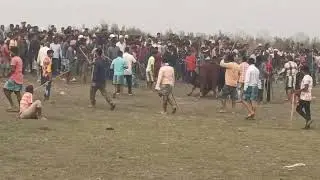Indian Buffalo fight Jalal da moh win