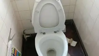 If&ouml; Carezza toilet skyl