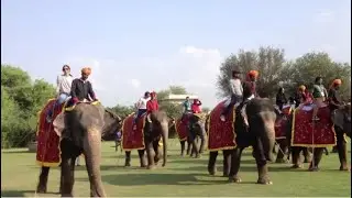 WITNESS  the astonishing ELEPHANT FESTIVAL in India's cultural extravaganza