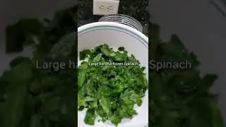 Blueberry Spinach Smoothie