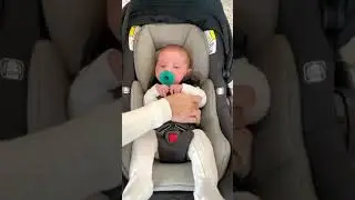 Car Seat Safety For Newborns