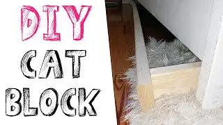 How To Keep Cats Out From Under The Bed (Under $10)