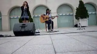 The Pigs Might Fly - Maybe live