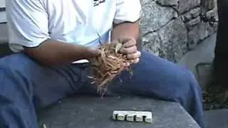 How to start fire without matches using hand drill