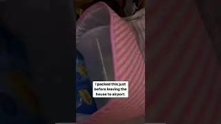 How I carried my breast milk in flight