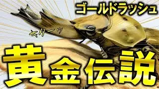 黄金伝説！かっこいいオウゴンのクワガタが羽化しました！（くろねこチャンネル）