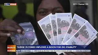 'Surge in Forex inflows a boon for Zig stability'