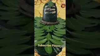 Mahashiv Ratri 18 Feb 2023 #shortsvideo #youtubeshorts #shortsfeed #shortsyoutube #shortsviral