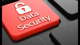 2 Organization level Security in Salesforce