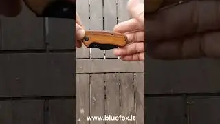 #shorts #foldingknife MFH Fox Outdoor Compact Folding Knife (44643), sulankstomas peilis