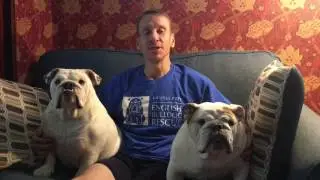Steve Williams Cultural Memoir Video