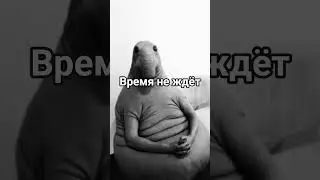 прикол#reallive