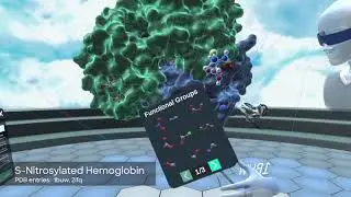 Molecule of the Month: S-Nitrosylated Hemoglobin