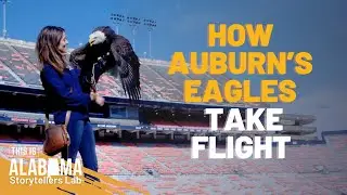 How Auburn's eagles take flight
