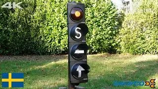[4K] Gothenburg Tramway Traffic Light 4 aspect