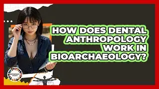 How Does Dental Anthropology Work In Bioarchaeology? - Anthropology Insights
