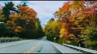 Best Fall foliage on Oct 9 2022 in Route 6 near Poconos PA