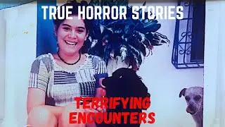 3 TRUE Scary Horror Stories | Chilling Pet Tales for a Restless Night